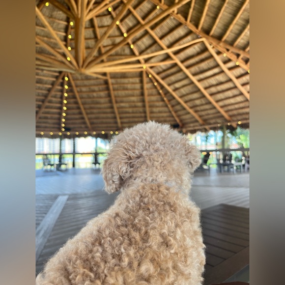 Hey y’all!! - Picture 10 of 11